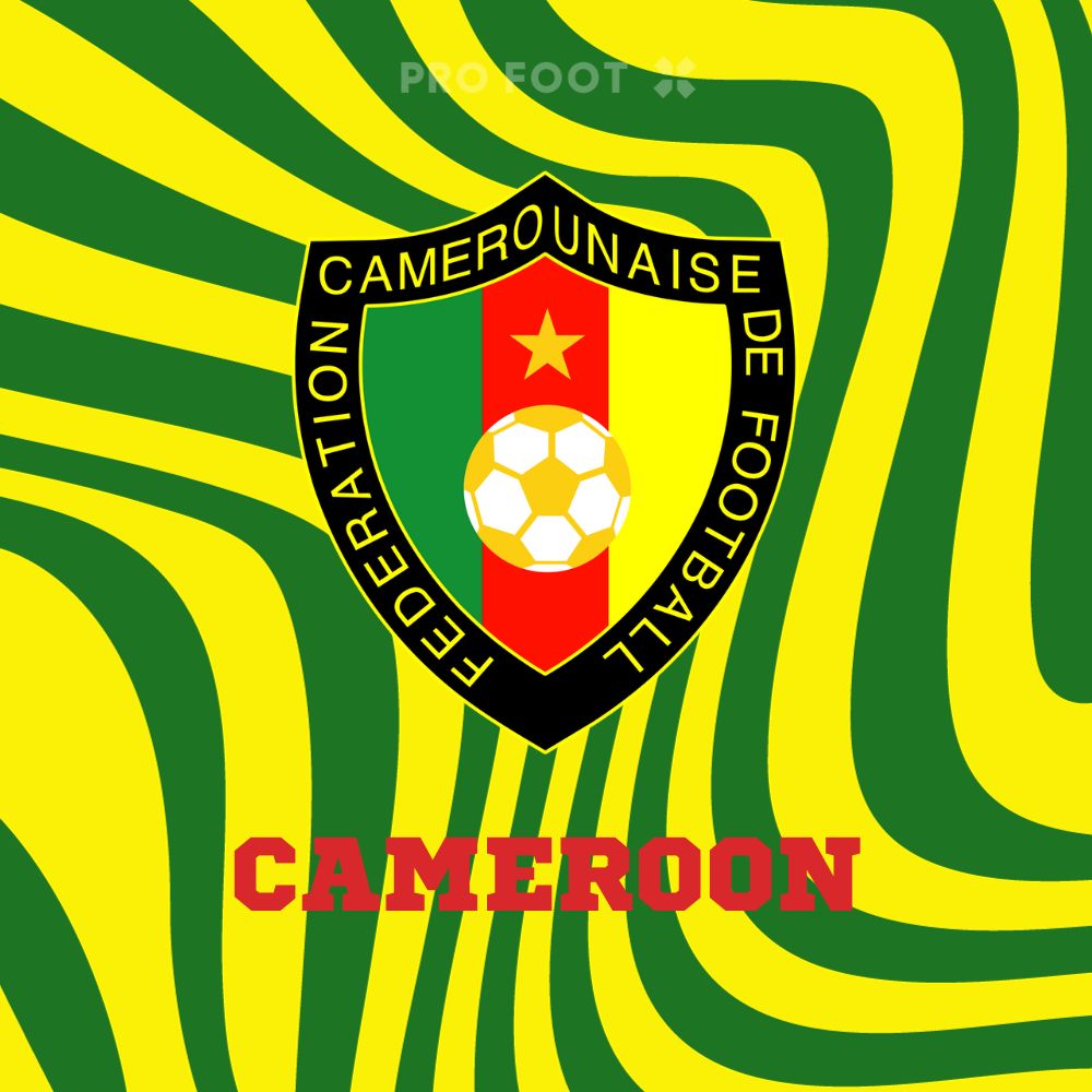 Maillots Cameroun