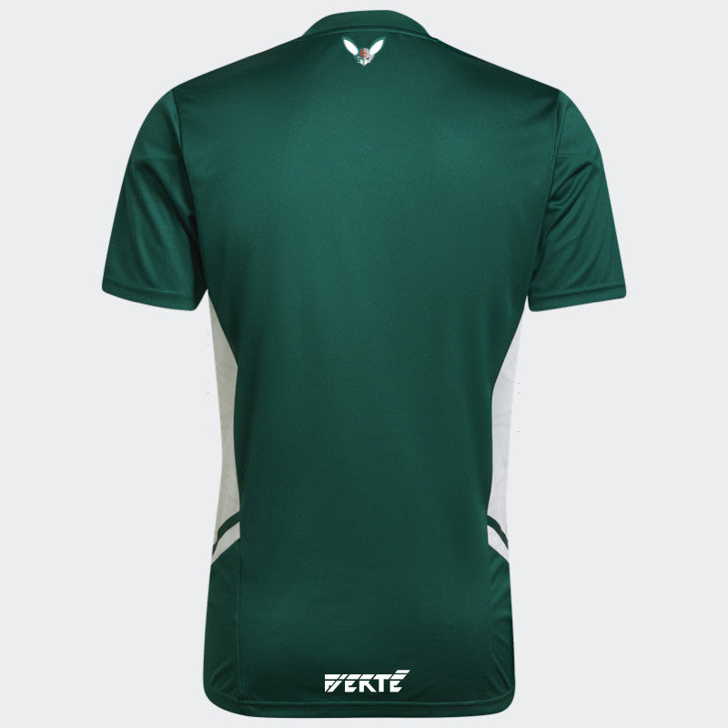 Algeria x Palestine 2023/2024 Green Shirt
